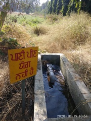 Waste water outlet for gardening