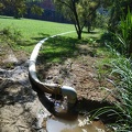 Waste water outlet to irrigate park