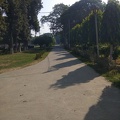 Pathway near library