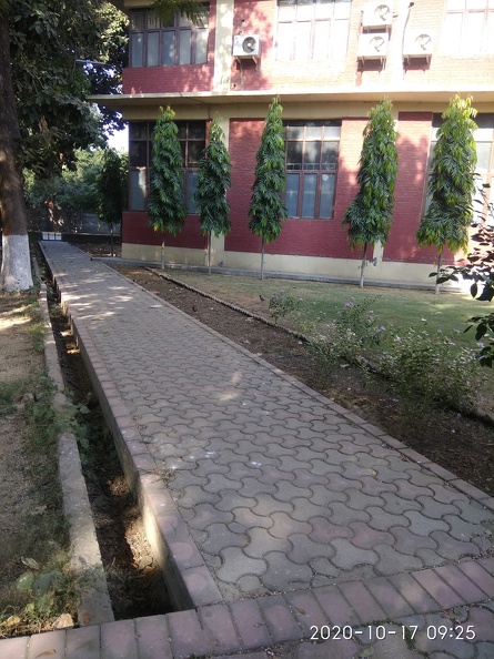 Pathway near MBA.jpg
