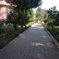Pathway to Parking